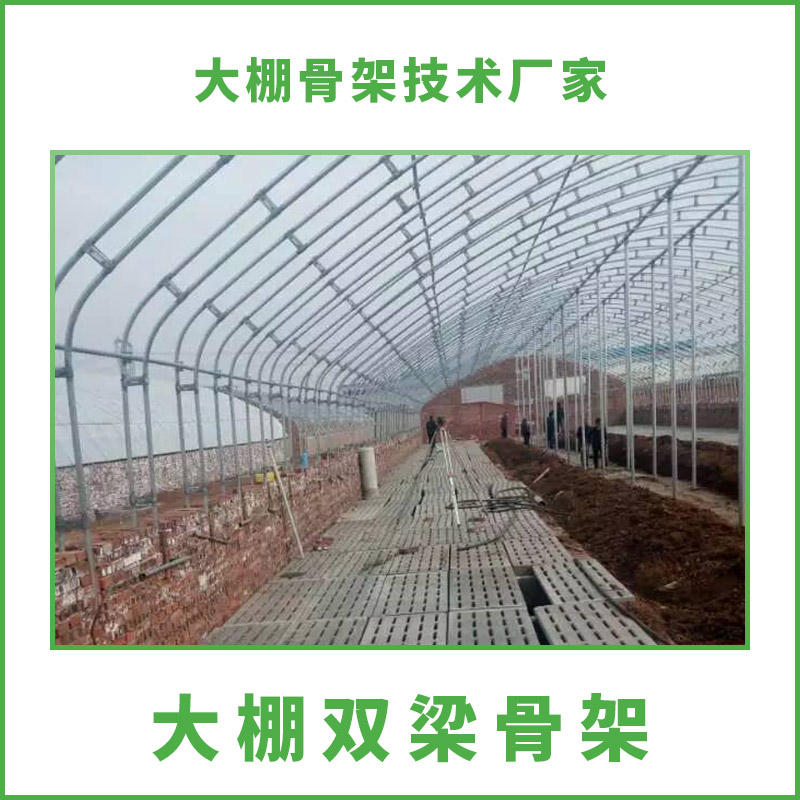供應(yīng)大棚雙梁骨架 溫室大棚雙梁骨架設(shè)計(jì) 石家莊大棚雙梁骨架