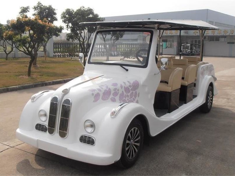 供應(yīng)電動(dòng)看房老爺車