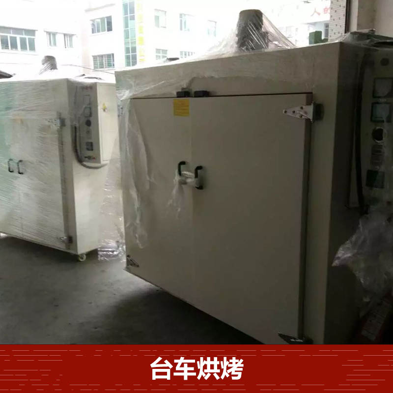 供應雙門大型工業(yè)推車試電烤箱