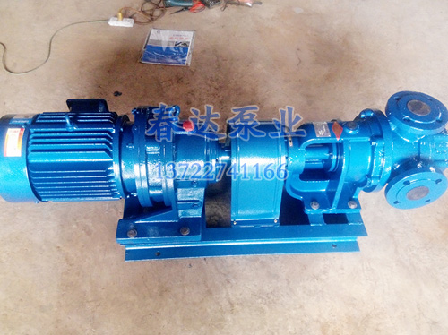 供應(yīng)NYP系列高黏度轉(zhuǎn)子泵 新型高粘度泵