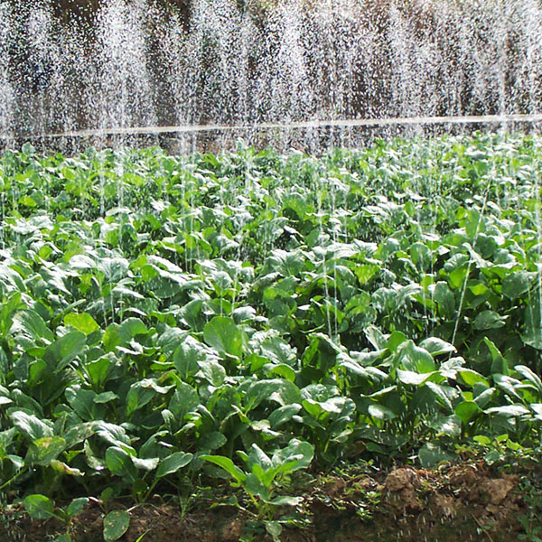供應(yīng)微噴帶 節(jié)水微噴帶 園林微噴帶 微噴帶廠家 微噴帶直銷