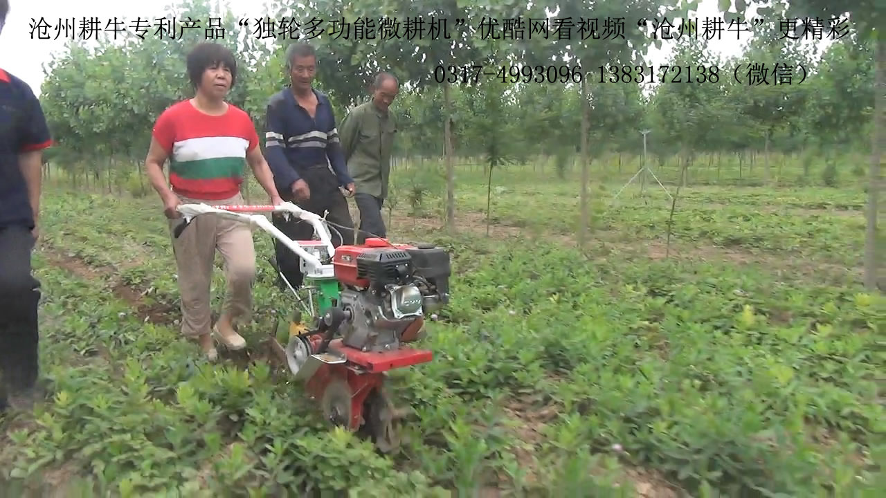 供應(yīng)辣椒收割機(jī) 平茬機(jī)