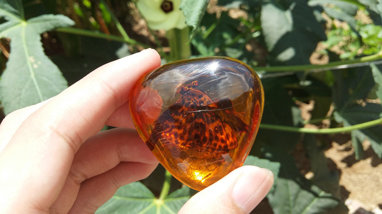 供應(yīng)波羅的海蟲珀原石批發(fā)貨到付款 廠家直銷黑皮、白皮蜜蠟原石批發(fā) 琥珀蜜蠟原石批發(fā)