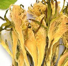 供應用于花類烘干的霸王花烘干機，農產品烘干機