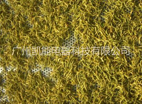 廠家直銷金銀花烘干機(jī)  金銀花烘干機(jī)性能圖片價(jià)格