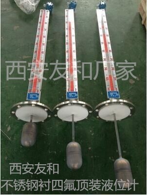 供應(yīng)用于石油，化工的buwz601防爆電伴熱液位計