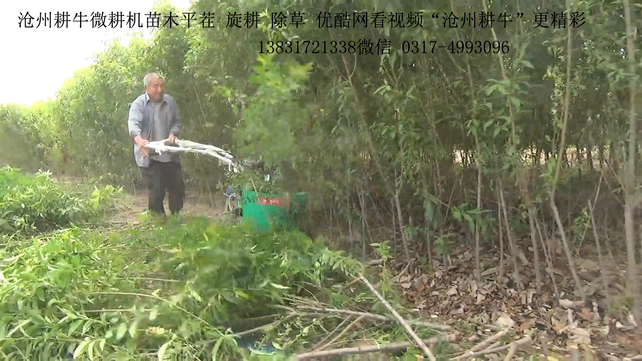 供應(yīng)辣椒收割機(jī) 平茬機(jī)