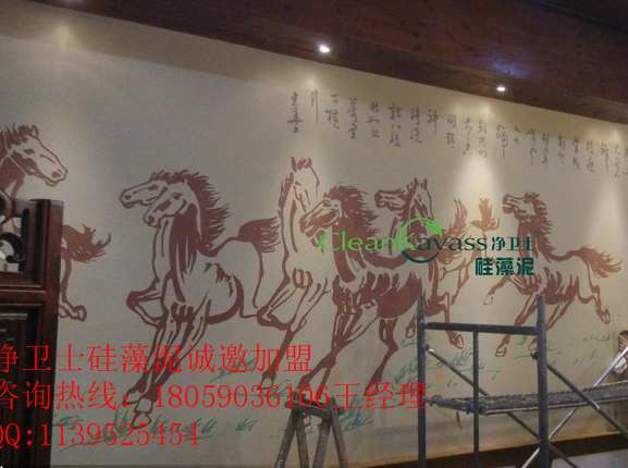 由王寶強(qiáng)*的福州凈衛(wèi)士硅藻泥廠家供應(yīng)用于硅藻泥加盟費(fèi)多少錢(qián)｜硅藻泥加盟店品牌｜硅藻泥招商加盟