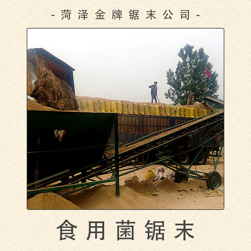 菏澤鋸末公司供應(yīng)食用菌鋸末 食用*蘑菇鋸末基料 發(fā)酵鋸末木屑