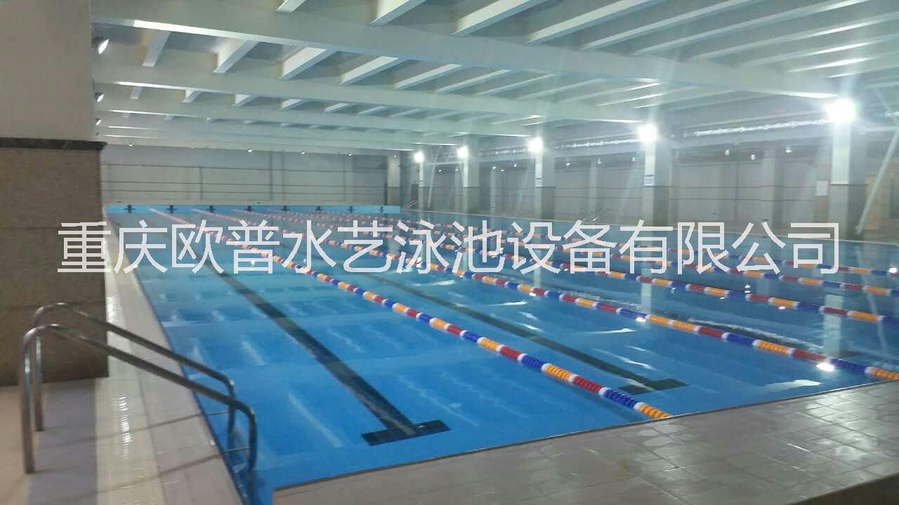 供應標準游泳池水處理設備要多少錢