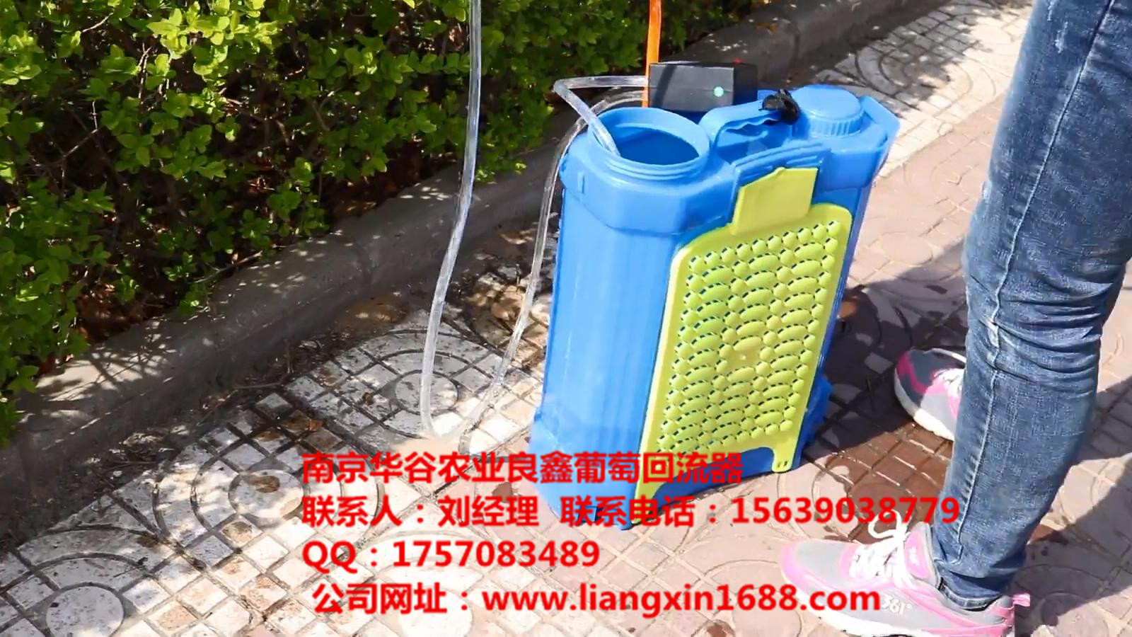 供應葡萄拉穗膨果器藥液回流裝置，葡萄綁枝機，葡萄綁枝卡、獼猴桃綁枝扣子，蔬果剪