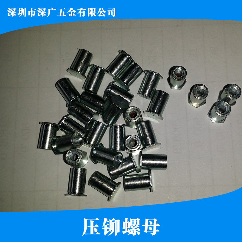 供應(yīng)壓鉚螺母 自扣緊螺母 扣緊螺母 六角壓鉚螺母 鉚螺母