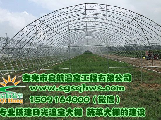 供應(yīng)蔬菜大棚    全鋼架拱棚    壽光市啟航溫室
