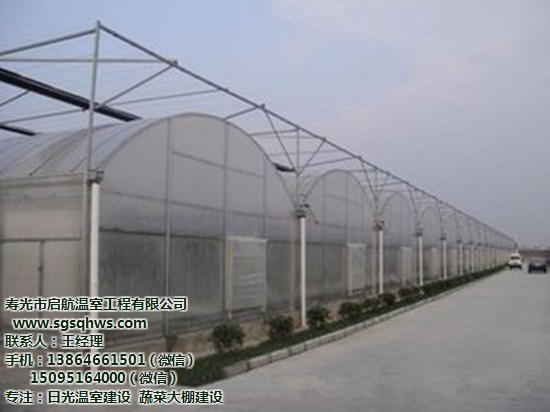 供應(yīng)蔬菜大棚   簡易連棟拱棚   壽光市啟航溫室