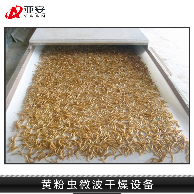 黃粉蟲微波干燥設(shè)備  黃粉蟲微波干燥設(shè)備供應(yīng)商 小型隧道式微波黃粉蟲烘干