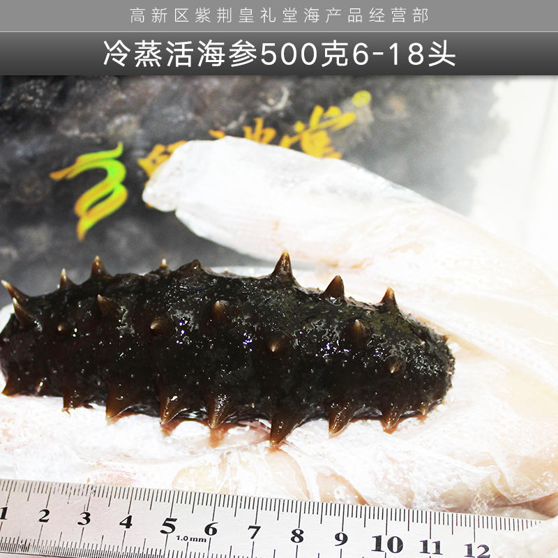 冷蒸活海參500克6-18頭 大連冷蒸活海參 冷蒸即食海參 水產制品