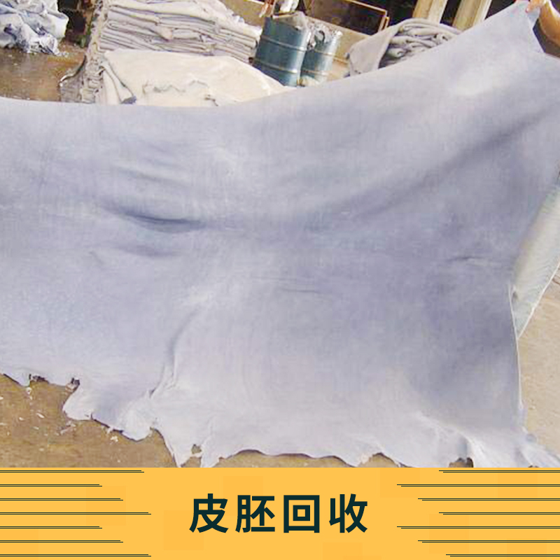 皮胚回收 皮胚皮料收購  收購各種皮胚 回收牛皮皮胚 真皮皮胚回收公司