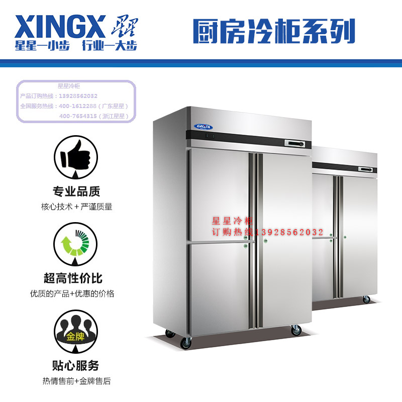 佛山星星冷柜批發(fā)廚房冷柜風冷冷凍柜 全不銹鋼冷柜 風冷式冷柜
