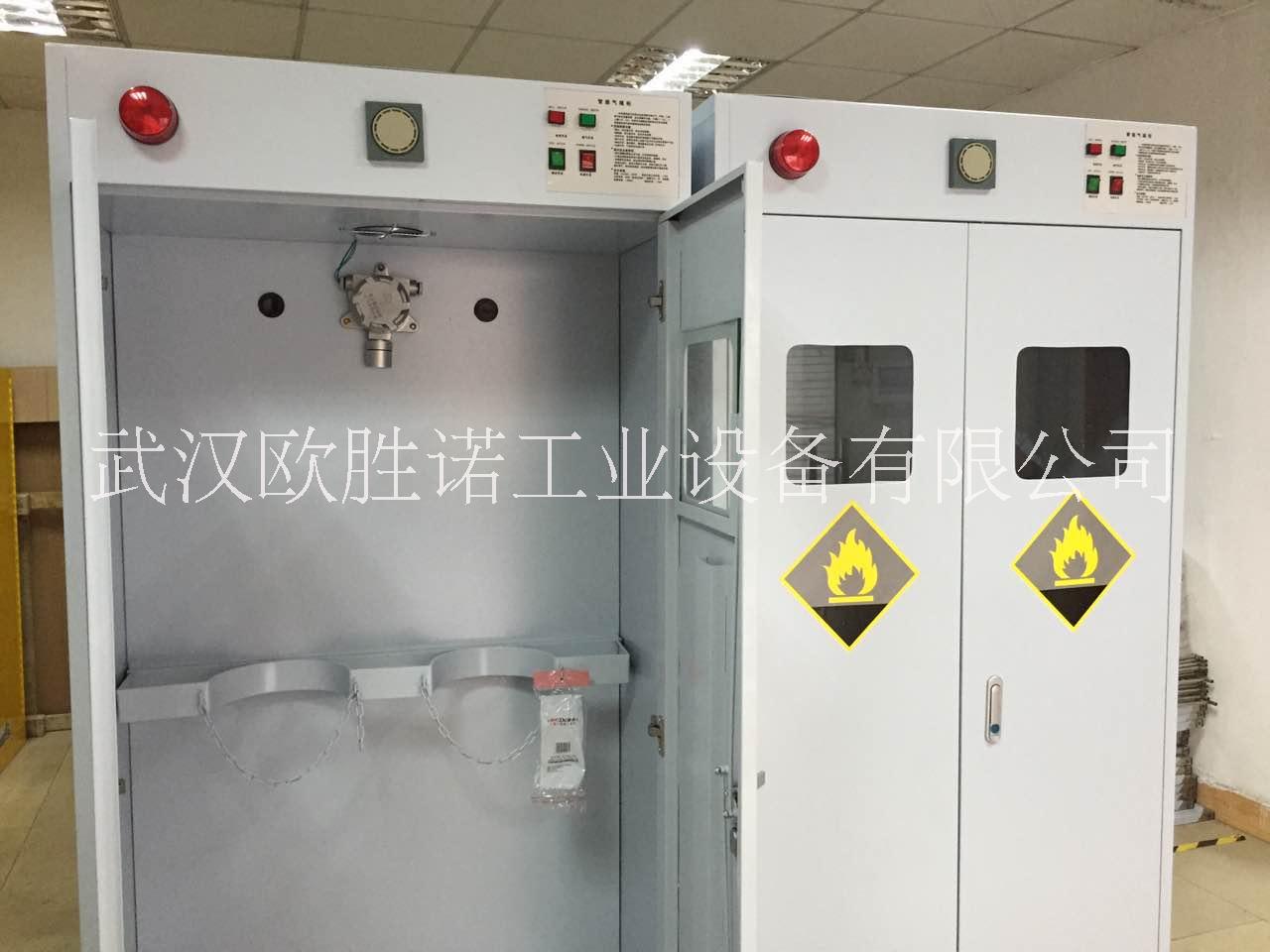 供應(yīng)雙瓶氣瓶柜 帶報警氣瓶柜