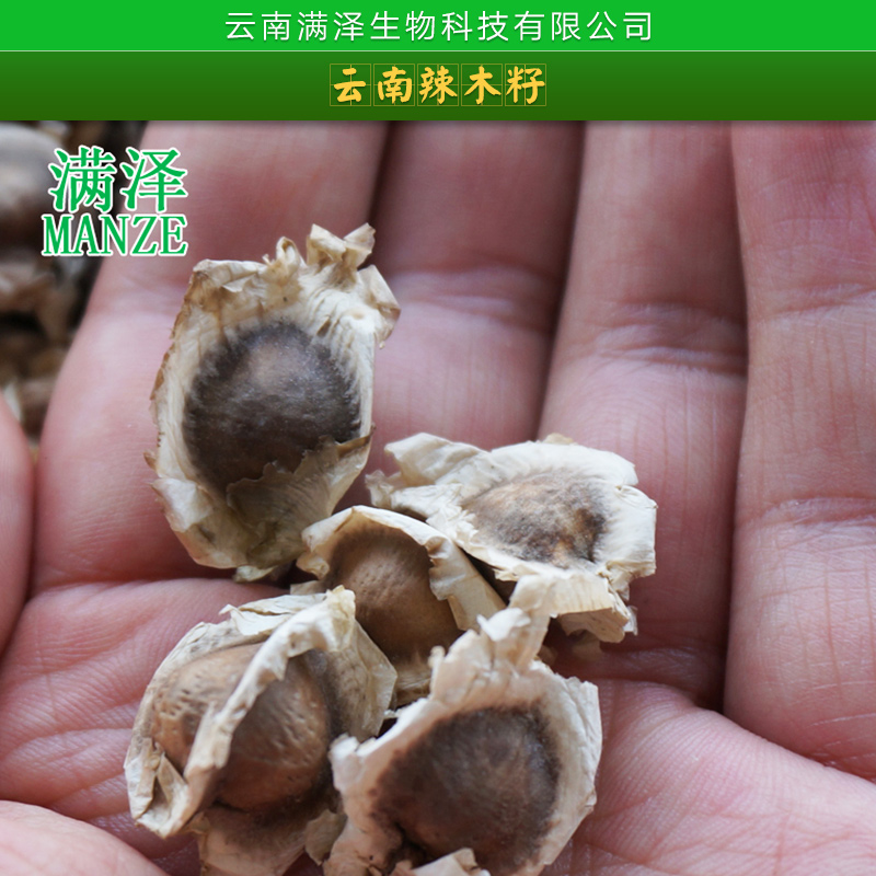 云南滿澤生物科技批發(fā)云南辣木籽 植物藥材辣木籽 印度進口辣木籽*降血壓