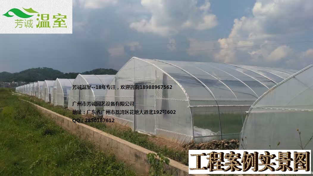 供應(yīng)廣東新型開天窗聯(lián)棟蔬菜大棚 簡(jiǎn)易大棚/溫室大棚/蔬菜大棚/育苗棚