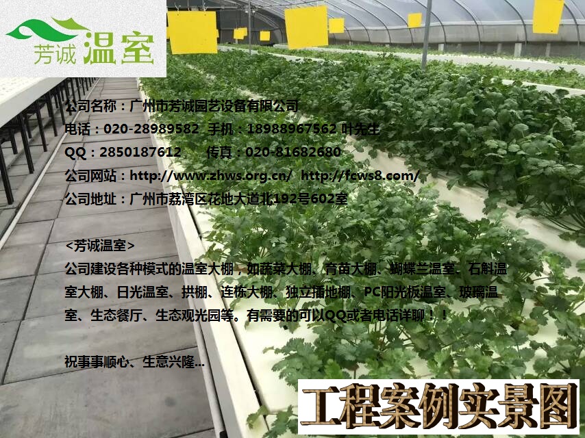 供應用于大棚的廣東生態(tài)溫室
