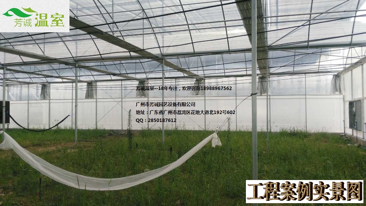 供應(yīng)廣西育苗大棚 簡(jiǎn)易大棚/溫室大棚/蔬菜大棚/育苗大棚