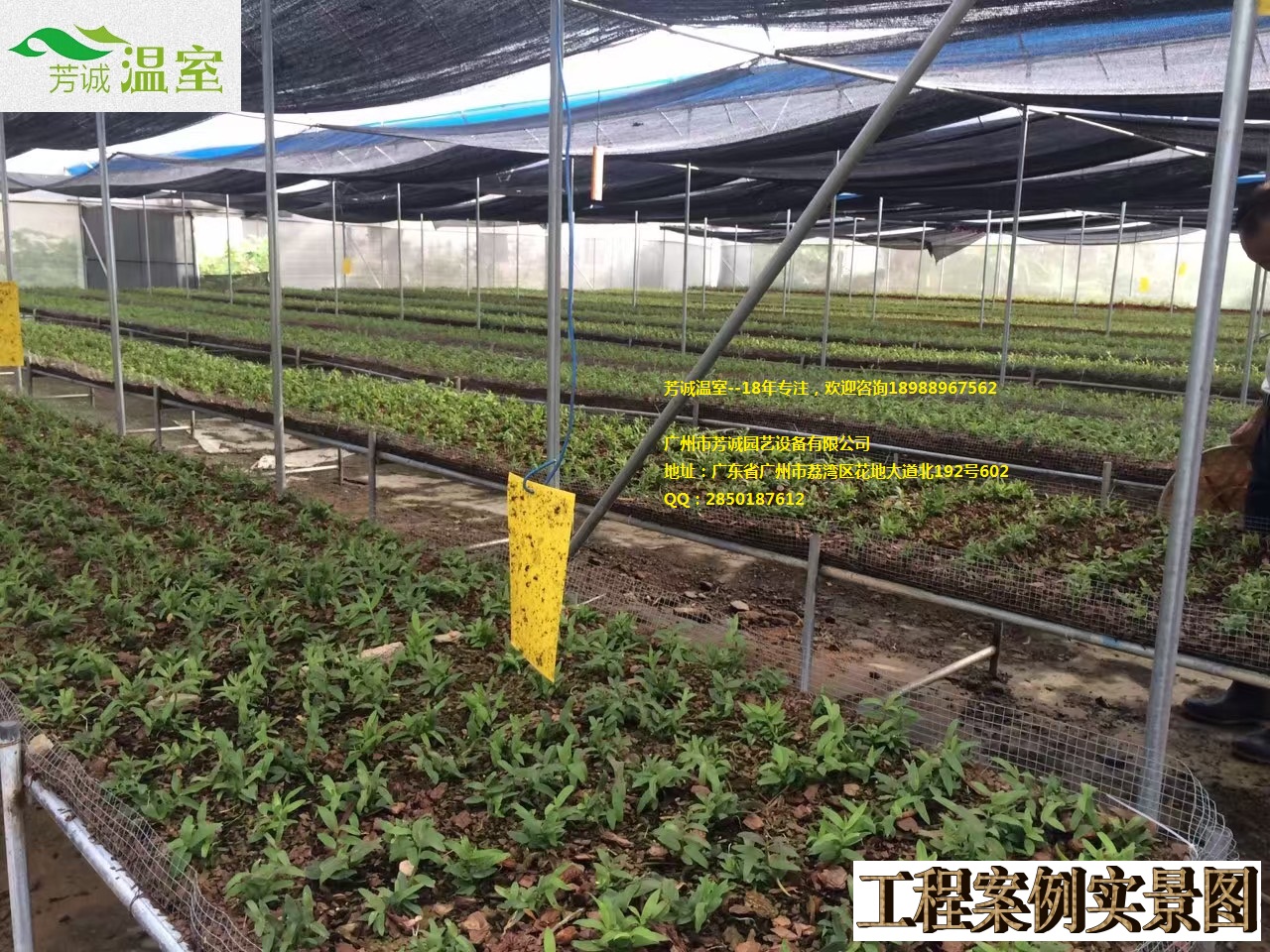 供應(yīng)福建遮陽大棚薄膜大棚 簡易大棚/溫室大棚/蔬菜大棚/育苗大棚