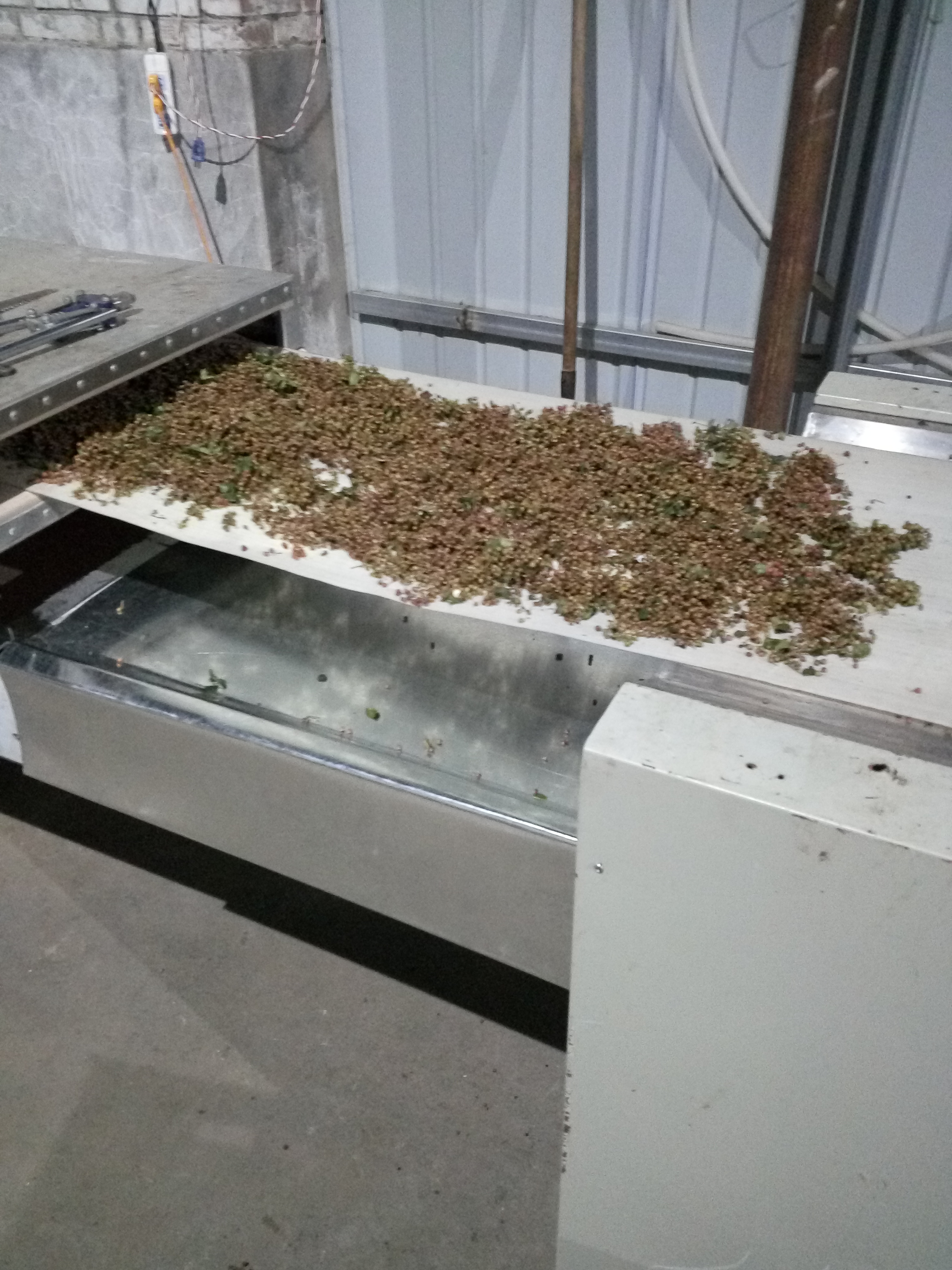 供應(yīng)花椒微波干燥設(shè)備