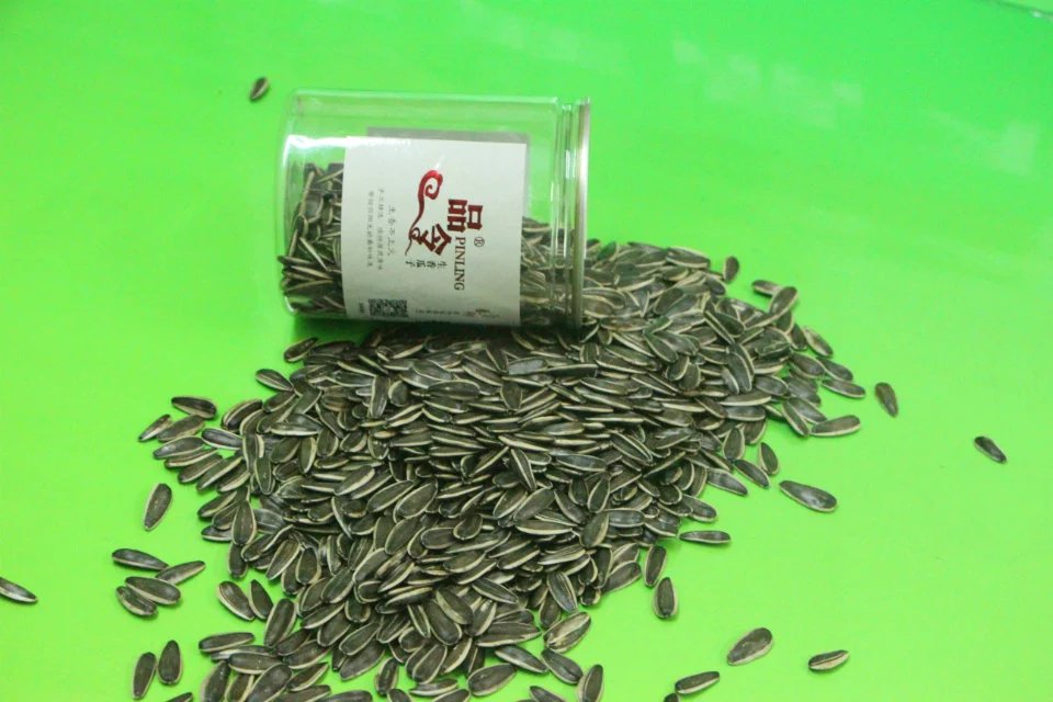 供應用于商超批發(fā)省代|終端小店|休閑場所的瓜子廠家批發(fā)