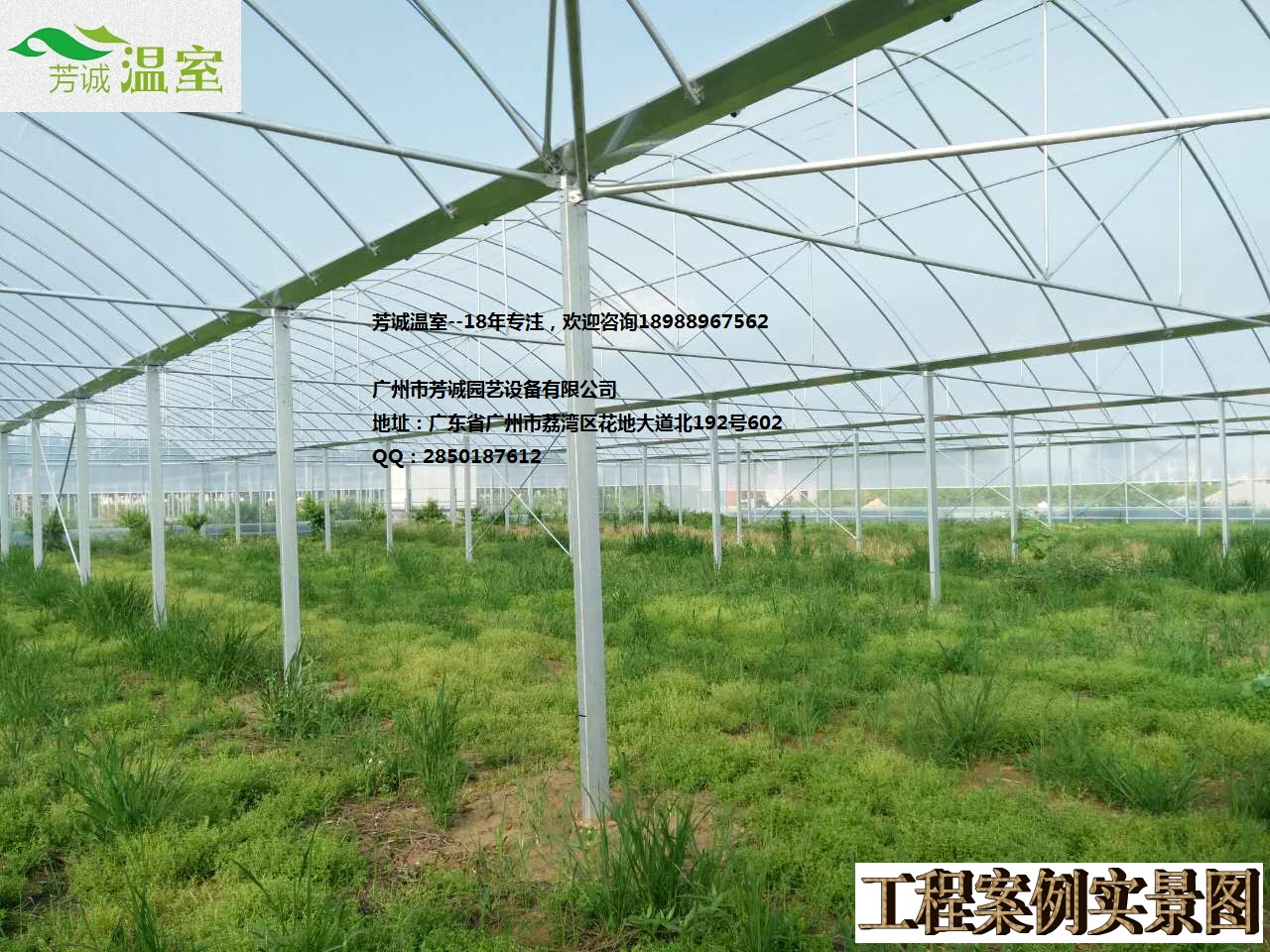 供應(yīng)福建養(yǎng)殖大棚 簡易大棚/溫室大棚/蔬菜大棚/育苗大棚