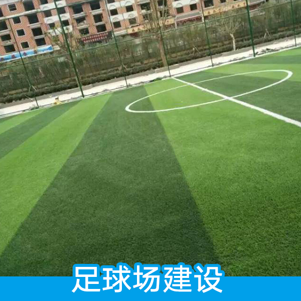 足球場(chǎng)建設(shè) 人造仿真草坪 塑料假草坪 幼兒園人工草皮 學(xué)校運(yùn)動(dòng)場(chǎng)地人造草坪