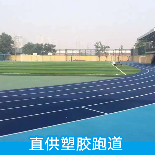 *塑膠跑道 塑膠跑道施工 塑膠跑道建設(shè) 彩色塑膠球場 塑膠跑道鋪裝