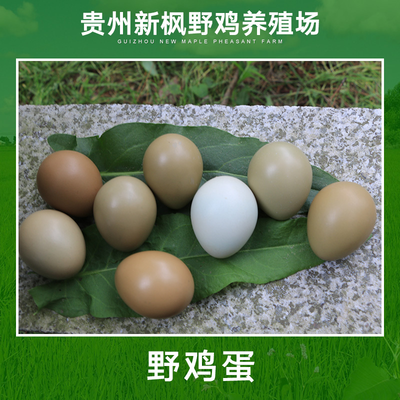 *蛋直銷 貴陽*蛋 散養(yǎng)*蛋 *蛋批發(fā) *蛋價格