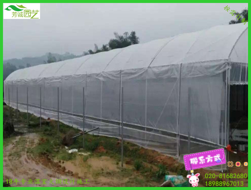 蔬菜大棚搭建 /珠海溫室大棚/ 獨(dú)立式蔬菜大棚