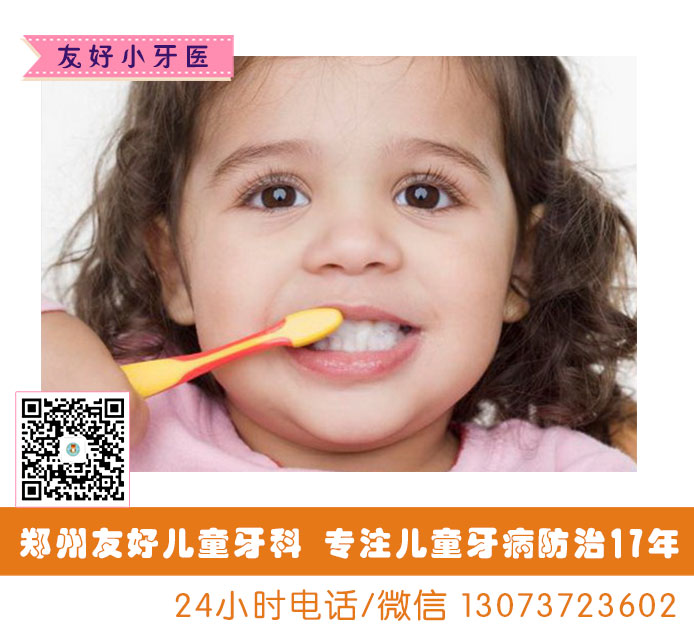 孩子換牙期乳牙和恒牙你能區(qū)分開嗎