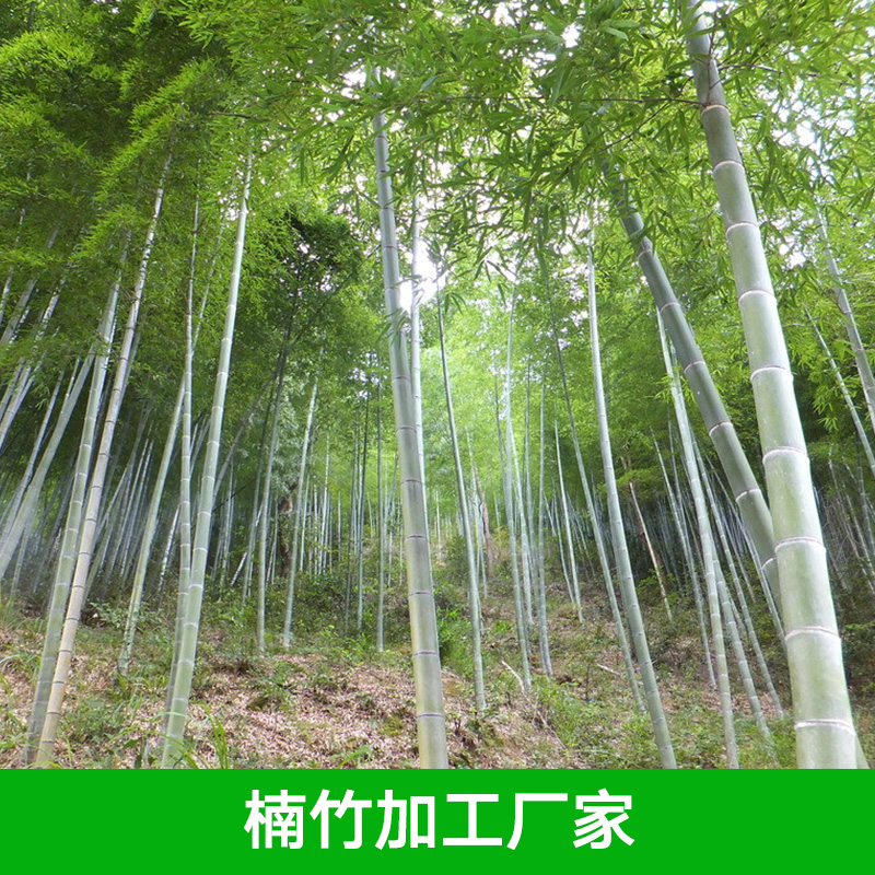 楠竹加工廠家 湖南楠竹加工 湖南楠竹加工廠家 楠竹加工價(jià)格