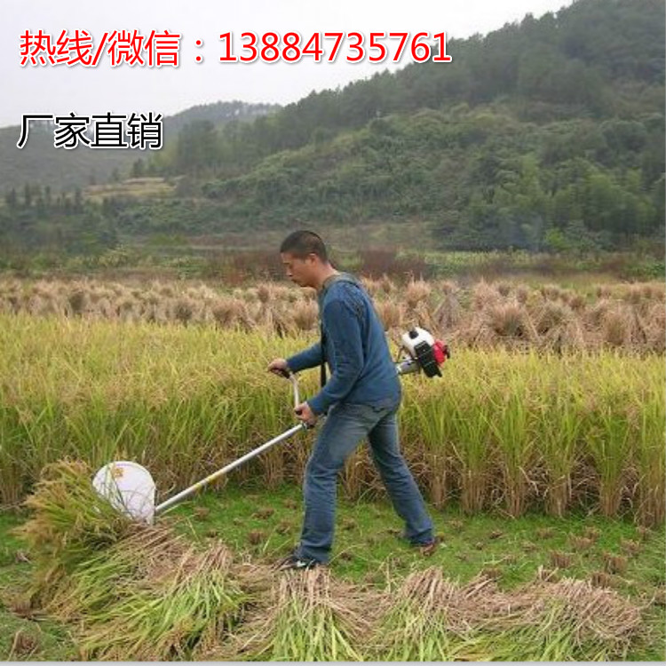 供應(yīng)四沖程側(cè)掛背負(fù)式割草機(jī)/割灌機(jī)/