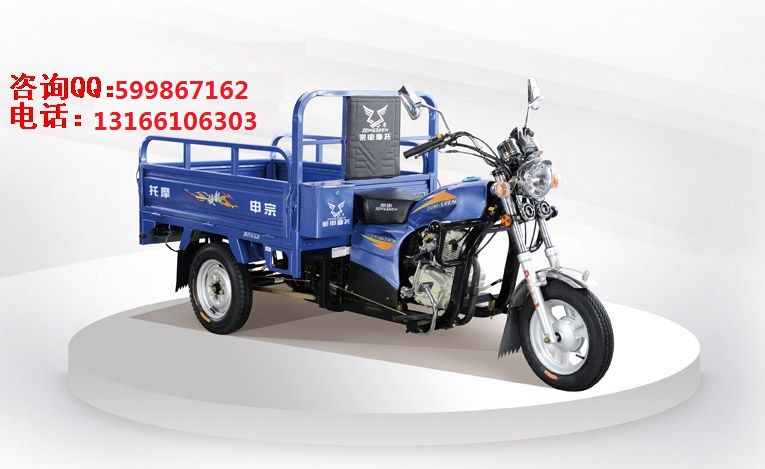 供應(yīng)宗申Q1太子125-1.5米三輪摩托車  批發(fā)