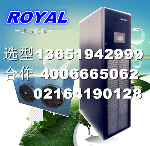 供應ROYAL儒雅DS25機房*空調(diào)精密空調(diào)機房空調(diào) 北京機房空調(diào)儒雅機房精密空調(diào) 北京機房空調(diào)儒雅列間機房精密空調(diào)