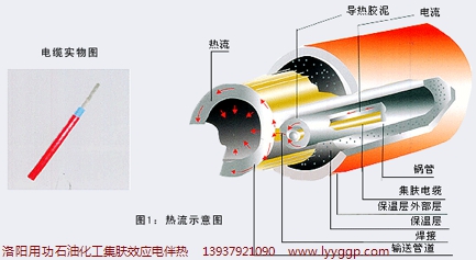 供應(yīng)石油化工集膚效應(yīng)電伴熱 輸送液電伴 進口伴熱電纜