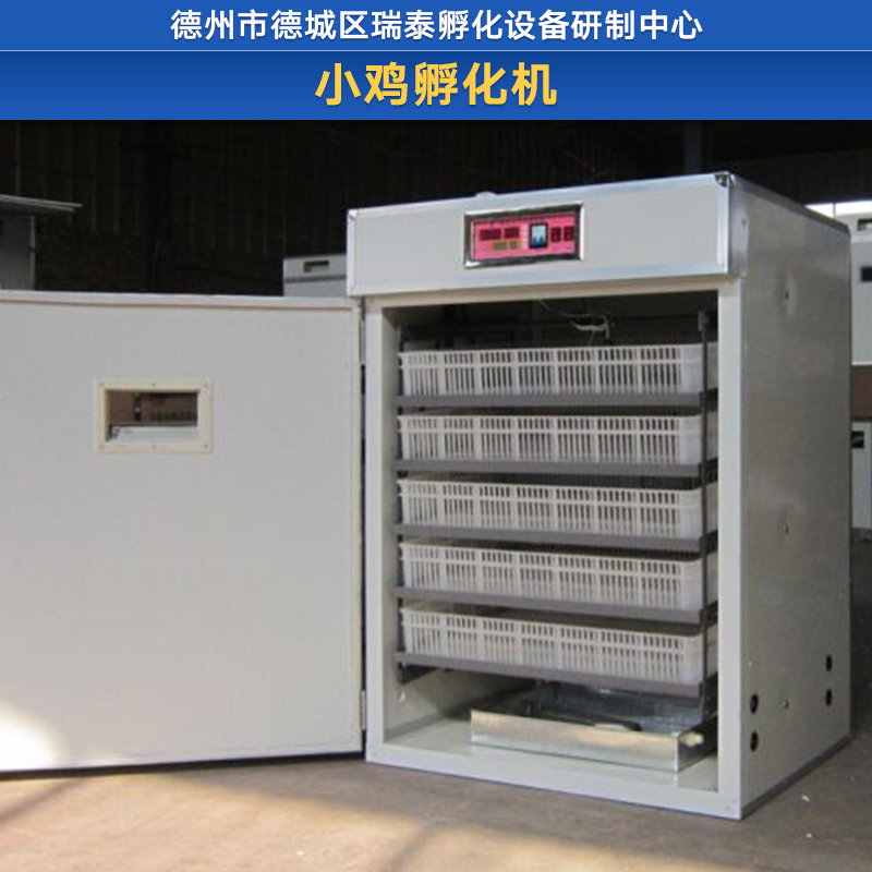 小雞孵化機(jī)廠家直銷、小型小雞孵化機(jī)、小雞孵化機(jī)價(jià)錢、自動小雞孵化機(jī)