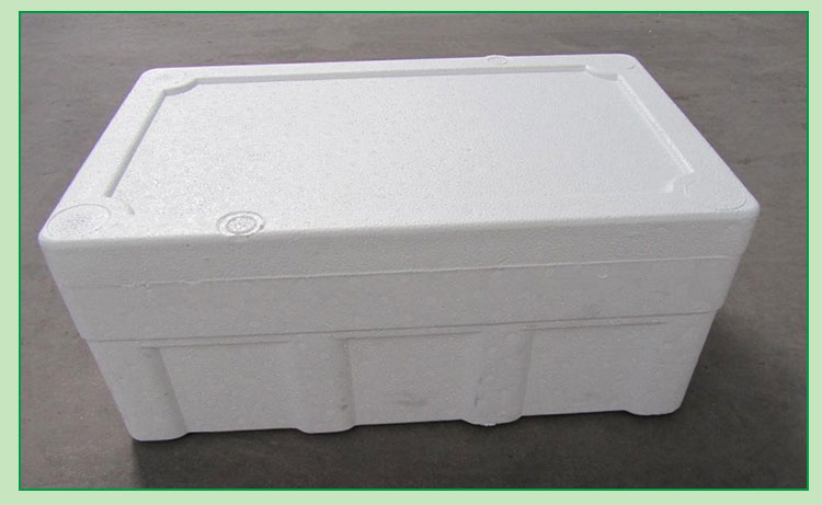 供應(yīng)廣東泡沫箱批發(fā)