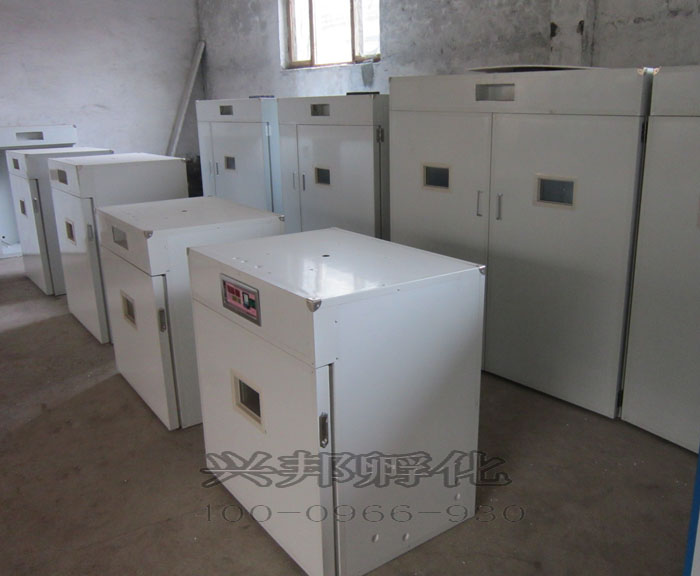 小型孵化機(jī) 孵化器雞蛋孵化機(jī)小型孵化機(jī)價(jià)格廠家直銷終身質(zhì)保維修