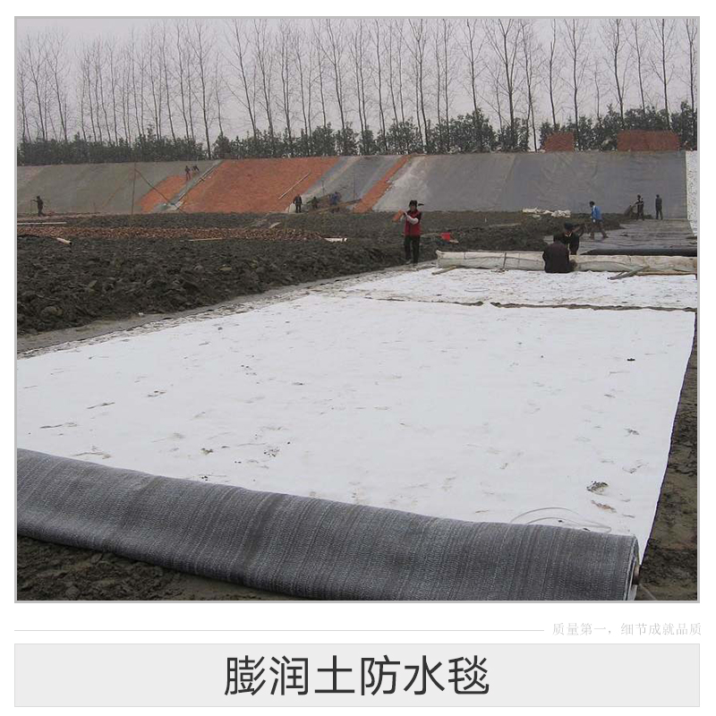 膨潤土防水毯 防水毯 鈉基膨潤土防水毯 覆膜膨潤土防水毯批發(fā)