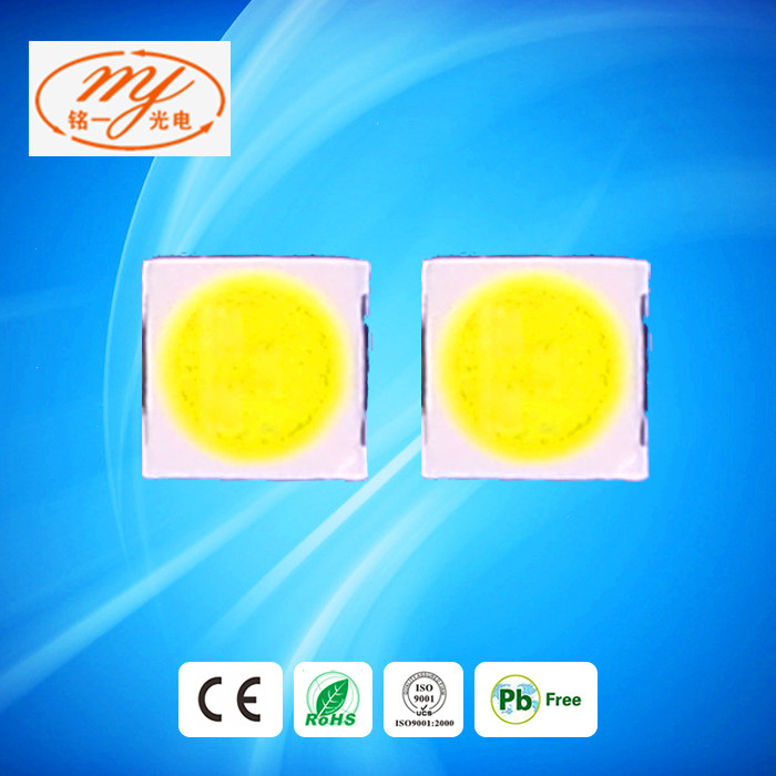 燈珠5054 5054貼片大功率燈珠 貼片式5054正白燈珠 高亮度5054燈珠