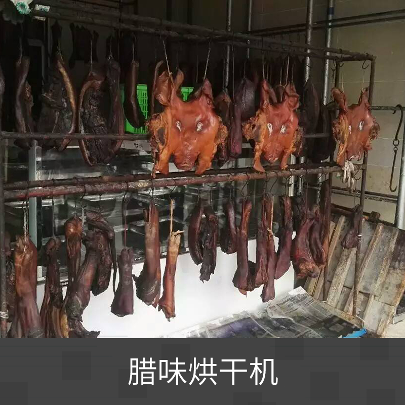 臘味烘干機 食品干燥設(shè)備 熱泵干燥機 熱循環(huán)真空臘肉烘干機