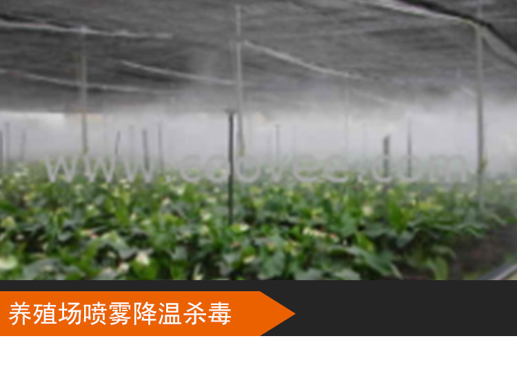 廠家直銷食用菌噴霧加濕設(shè)備噴霧加濕直銷食用菌噴霧加濕