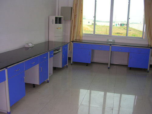 實(shí)驗(yàn)室試劑柜凈化室藥品柜實(shí)驗(yàn)臺(tái) 海南實(shí)驗(yàn)室儋州實(shí)驗(yàn)室 料 海南實(shí)驗(yàn)室試劑柜藥品柜實(shí)驗(yàn)臺(tái)