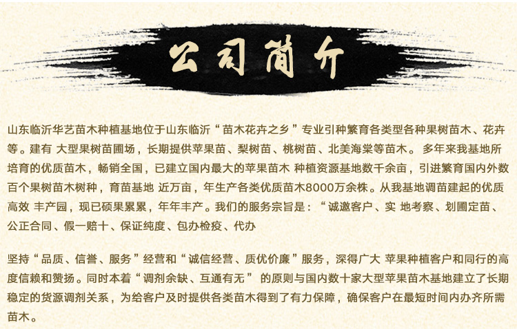 供應山東矮化蘋果苗，矮化蘋果苗價格，矮化蘋果苗基地 苗木批發(fā)基地